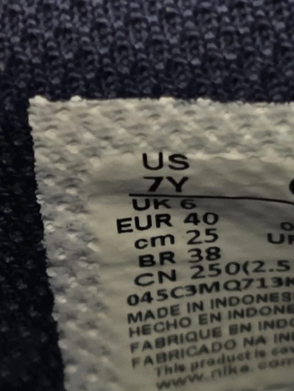 Nike Kids Low-Top Sneakers in Navy and White